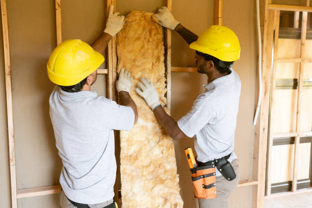 Trusted Blackshear, GA Insulation Experts